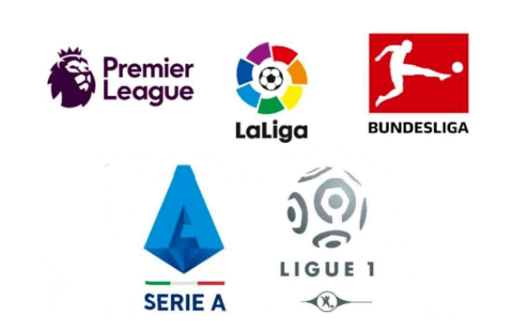 并没有得到 并没有得到